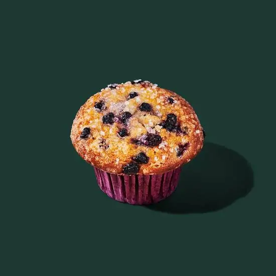 blueberry_muffin_with_chocolate_chips on 